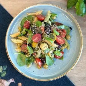 UUS! Värviline pasta-pesto salat mozzarella pallidega kg